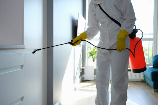 Best Mold Remediation Experts  in Greens Farms, CT